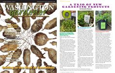photo: A Trio of New Garden Products