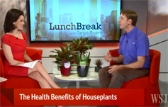 photo: The Health Benefits of Houseplants