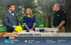 photo: Caring for Trees
