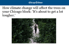 photo: How Climate Change Will Affect Trees