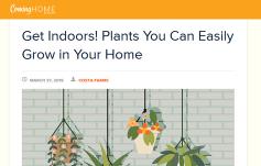 photo: Plants You Can Easily Grow in Your Home