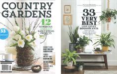 photo: 33 Very Best Low Light Houseplants