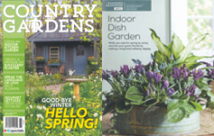 photo: Indoor Dish Garden