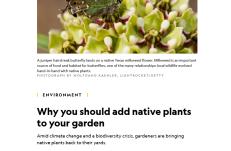 photo: Why You Should Add Native Plants to Your Garden