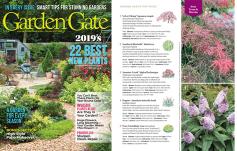 photo: 2019 Best New Plants