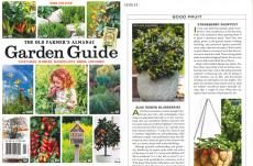 photo: Garden Guide: Good Fruit