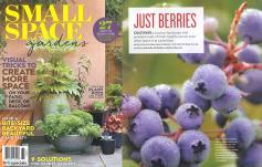 photo: Just Berries