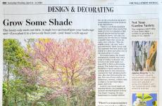 photo: How to Transform Your Front Yard (Forever) With One Economical Move