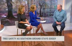 photo: Tree Safety in Soggy Ground