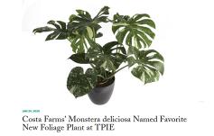 photo: Costa Farms’ Monstera deliciosa Named Favorite New Foliage Plant at TPIE