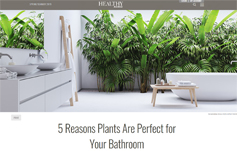 photo: 5 Reasons Plants Are Perfect for Your Bathroom