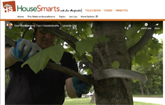 photo: Tree Maintenance Tips