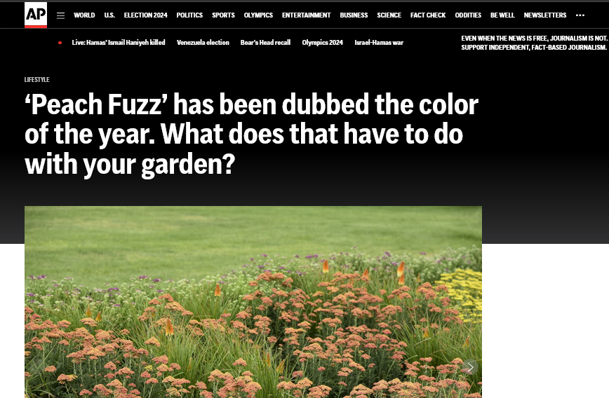 photo: ‘Peach Fuzz’ has been dubbed the color of the year