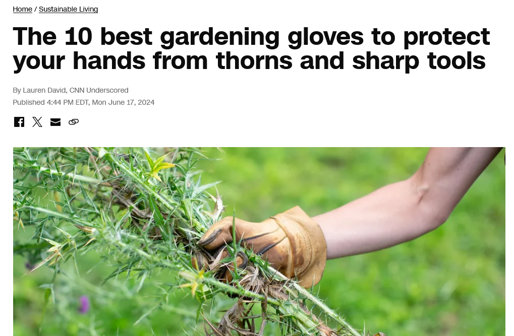 photo: The 10 best gardening gloves to protect your hands from thorns and sharp tools
