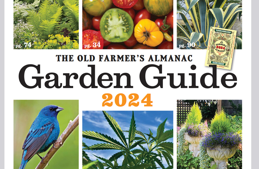 photo: Gardening Trends