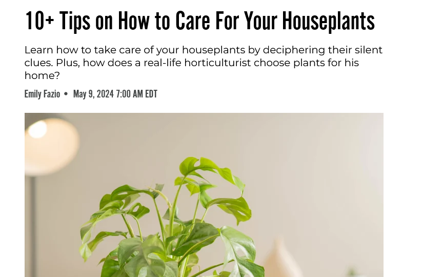 photo: 10+ Tips on How to Care For Your Houseplants