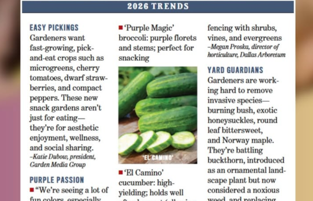 photo: 2026 Trends